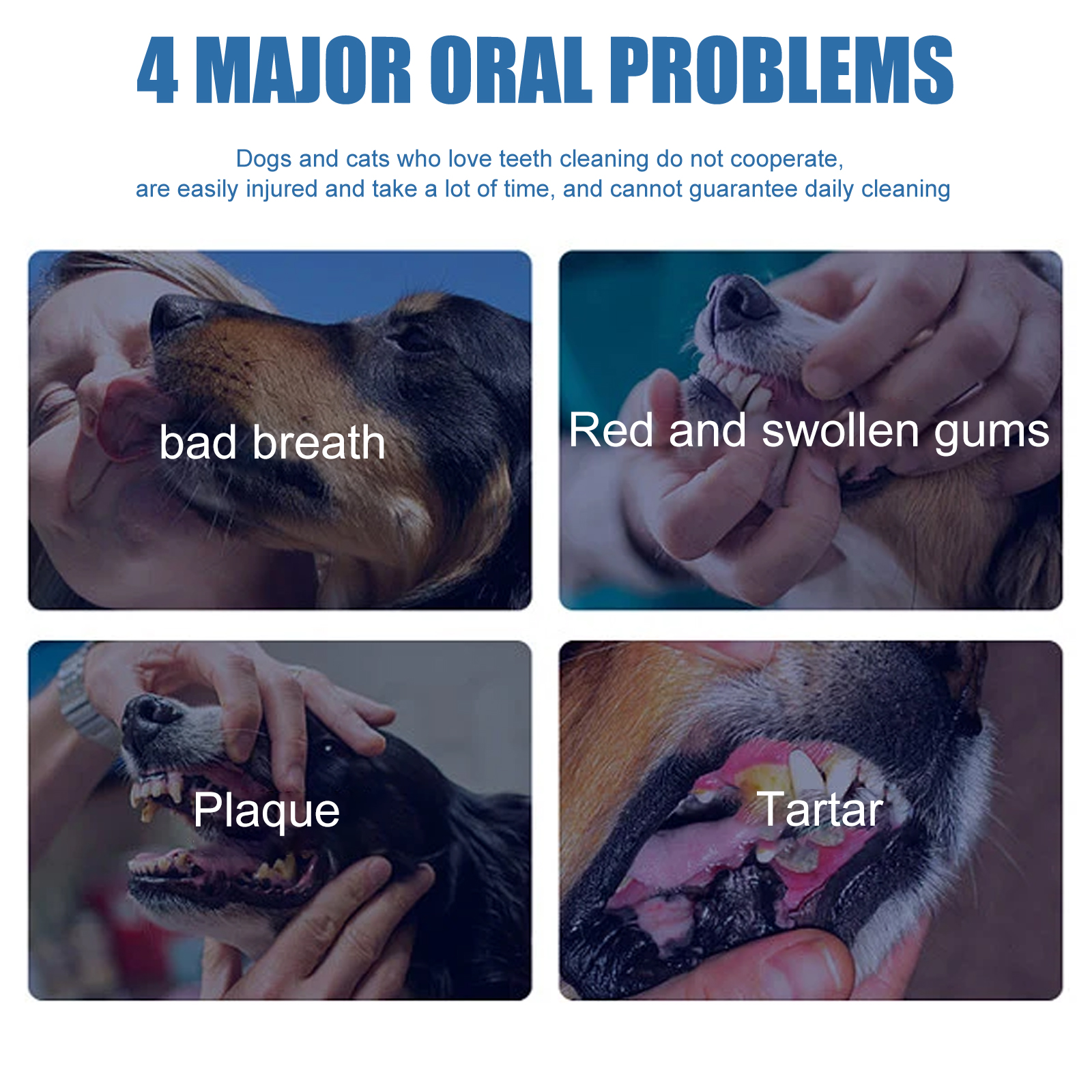 Yegbong Pet Tartar Remover Cle - Teeth Whitening Foam recension och pris