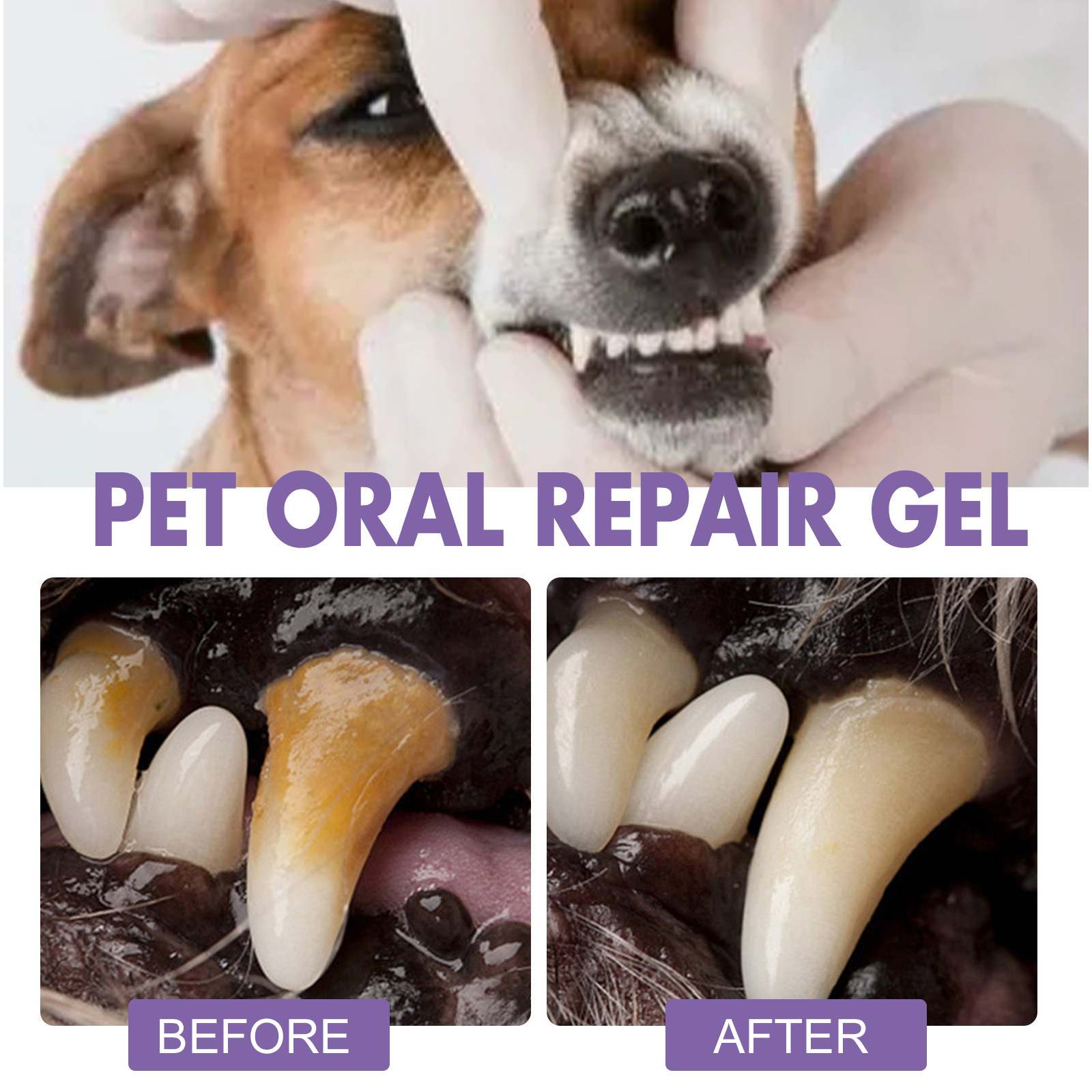 Pet Oral Repair Gel Puppy Tart - Teeth Whitening Near Me recension och pris
