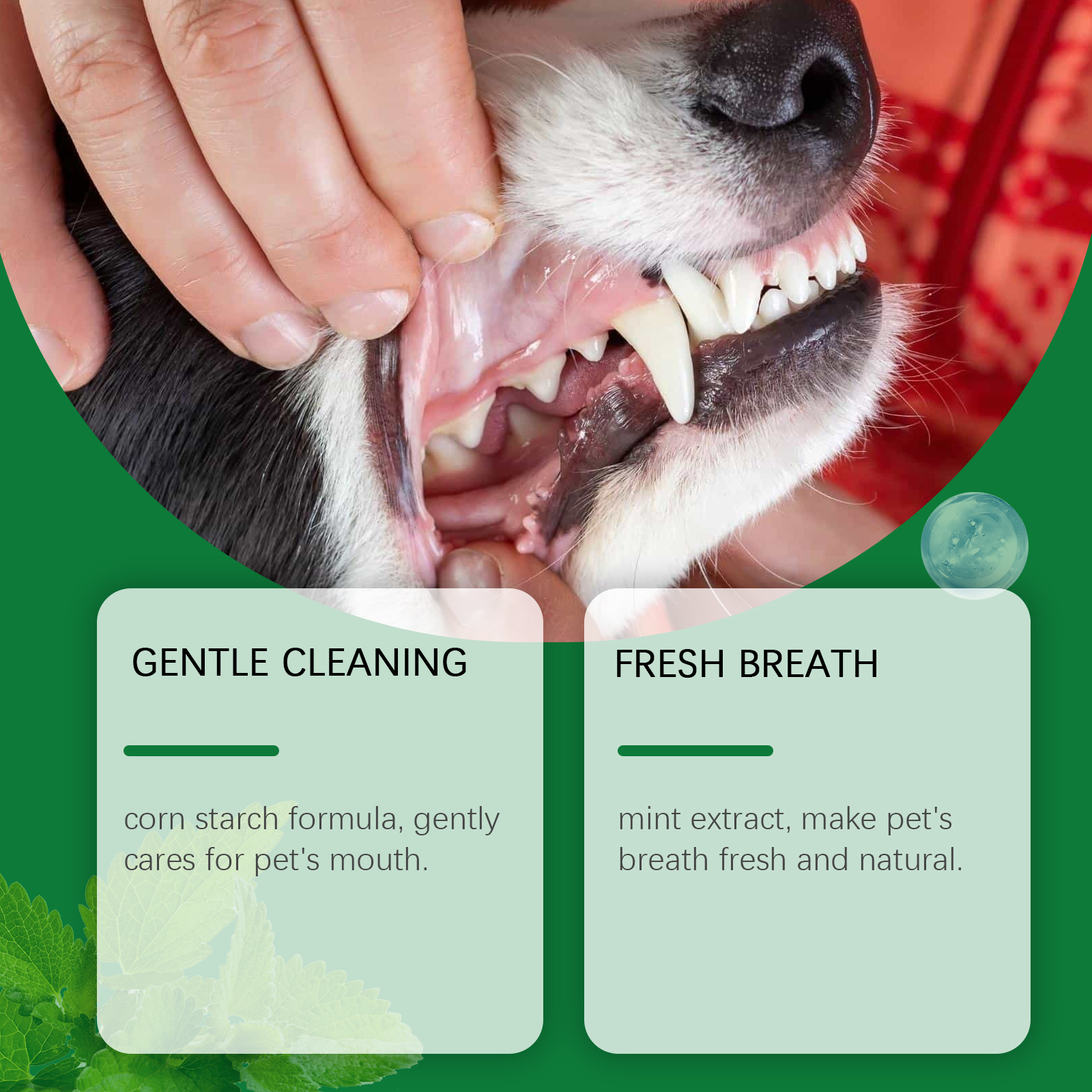 Pet Teeth Cleaning Powder Redu - Teeth Whitening Near Me recension och pris