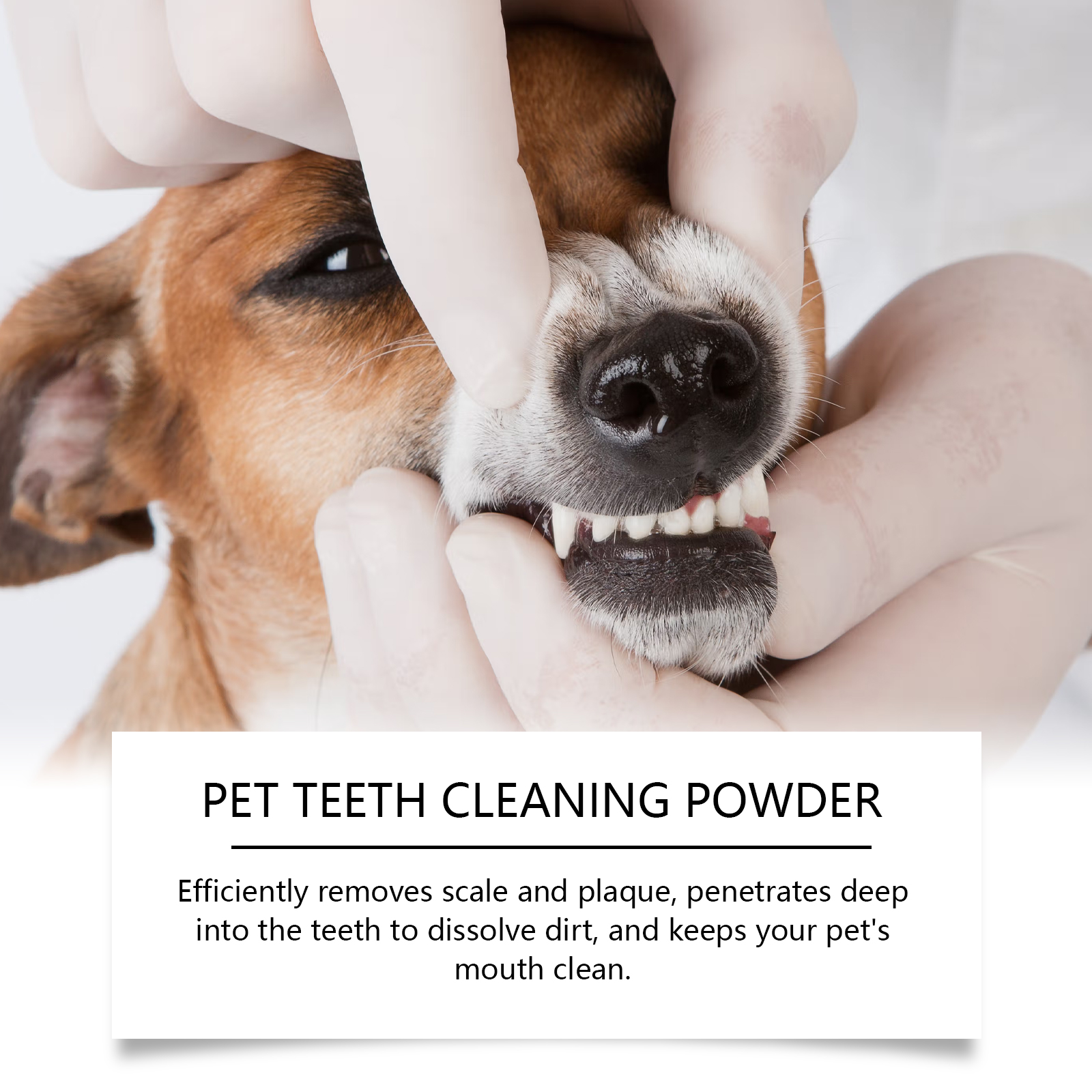 Pet Teeth Cleaning Powder Redu - Teeth Whitening Near Me recension och pris